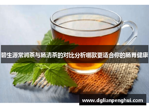碧生源常润茶与肠清茶的对比分析哪款更适合你的肠胃健康